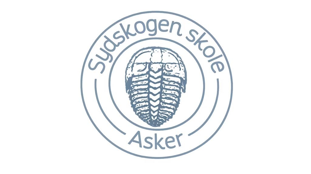 sydskogen skole